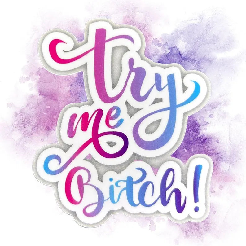 Try Me Bitch Sticker - Quote Sticker - Funny Waterproof Vinyl Quote Sticker - Gift for Her - Sassy Laptop Decal